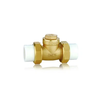 PPR mesingani povratni ventil